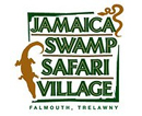 Jamaica Swamp Safari Village